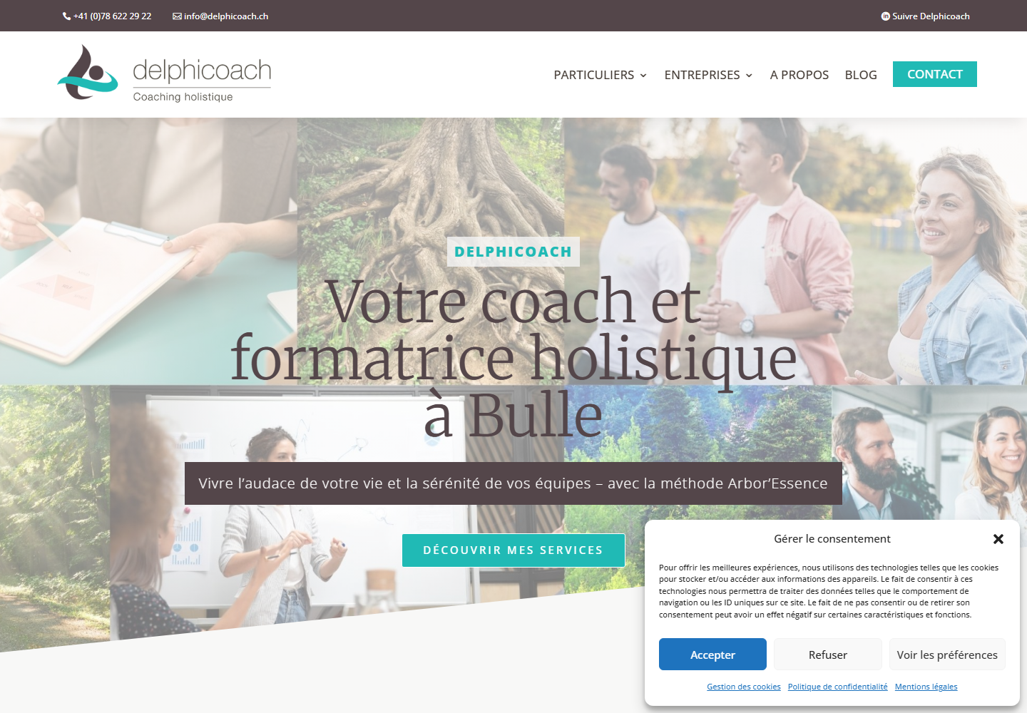 Delphicoach website preview