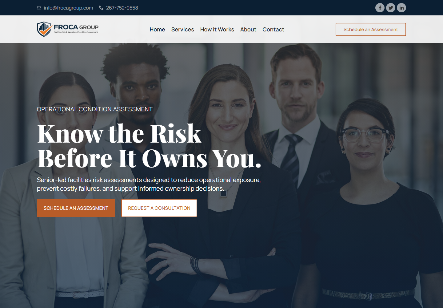 Frocagroup website preview