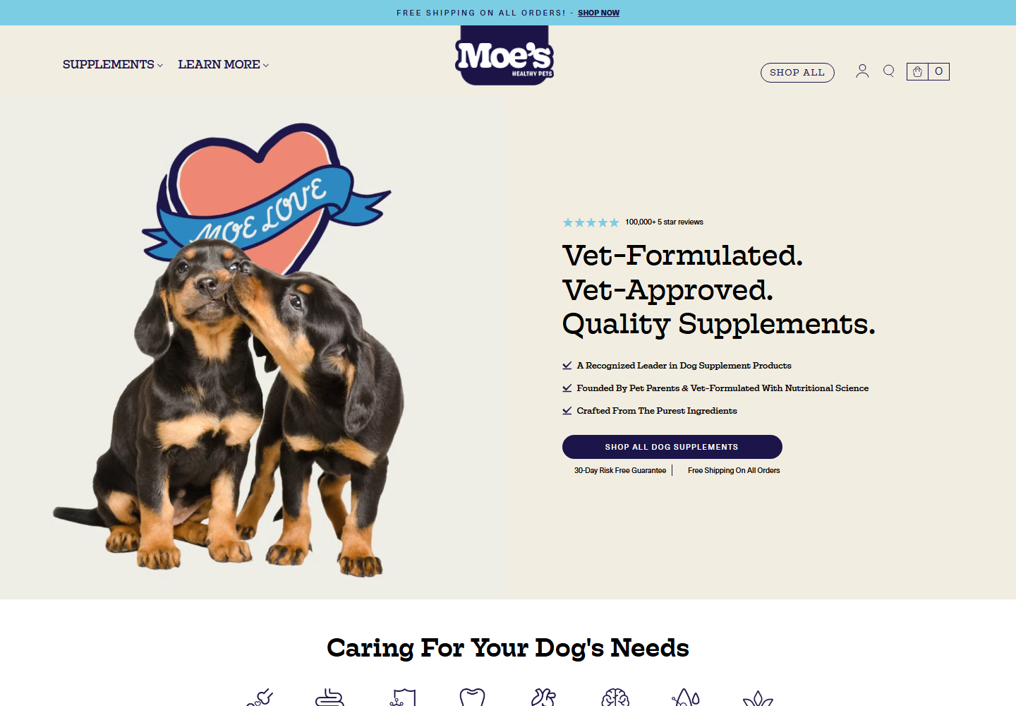 Moeshealthypets website preview