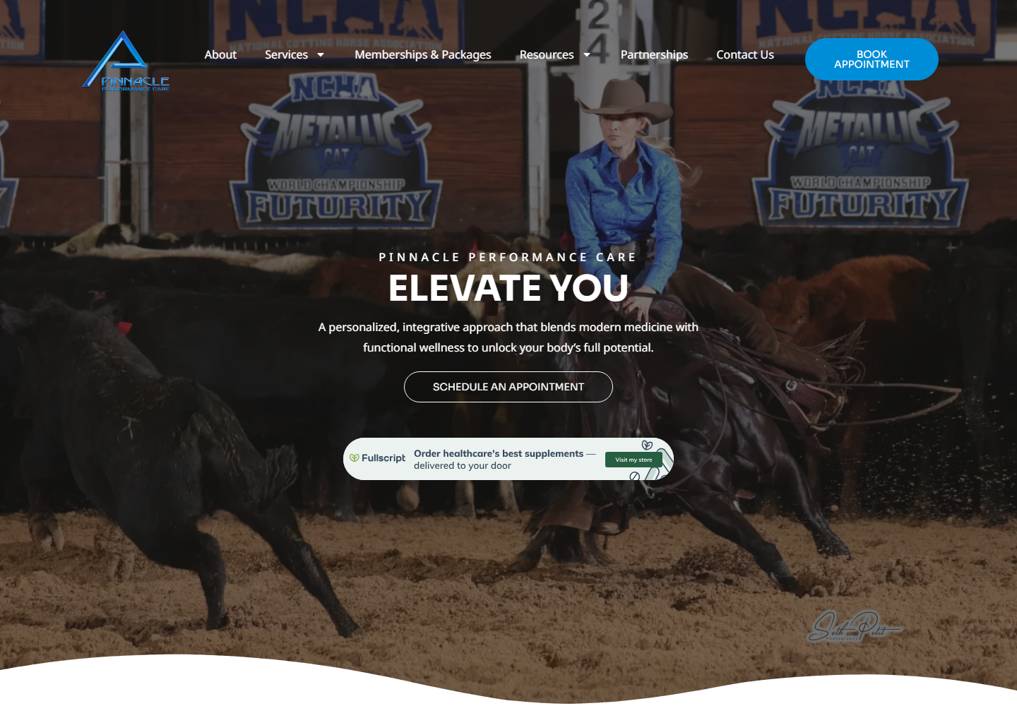 Pinnacleperformancecare website preview
