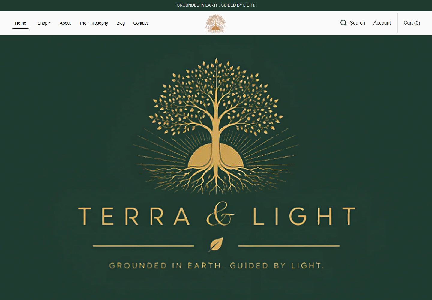 Terraandlight website preview