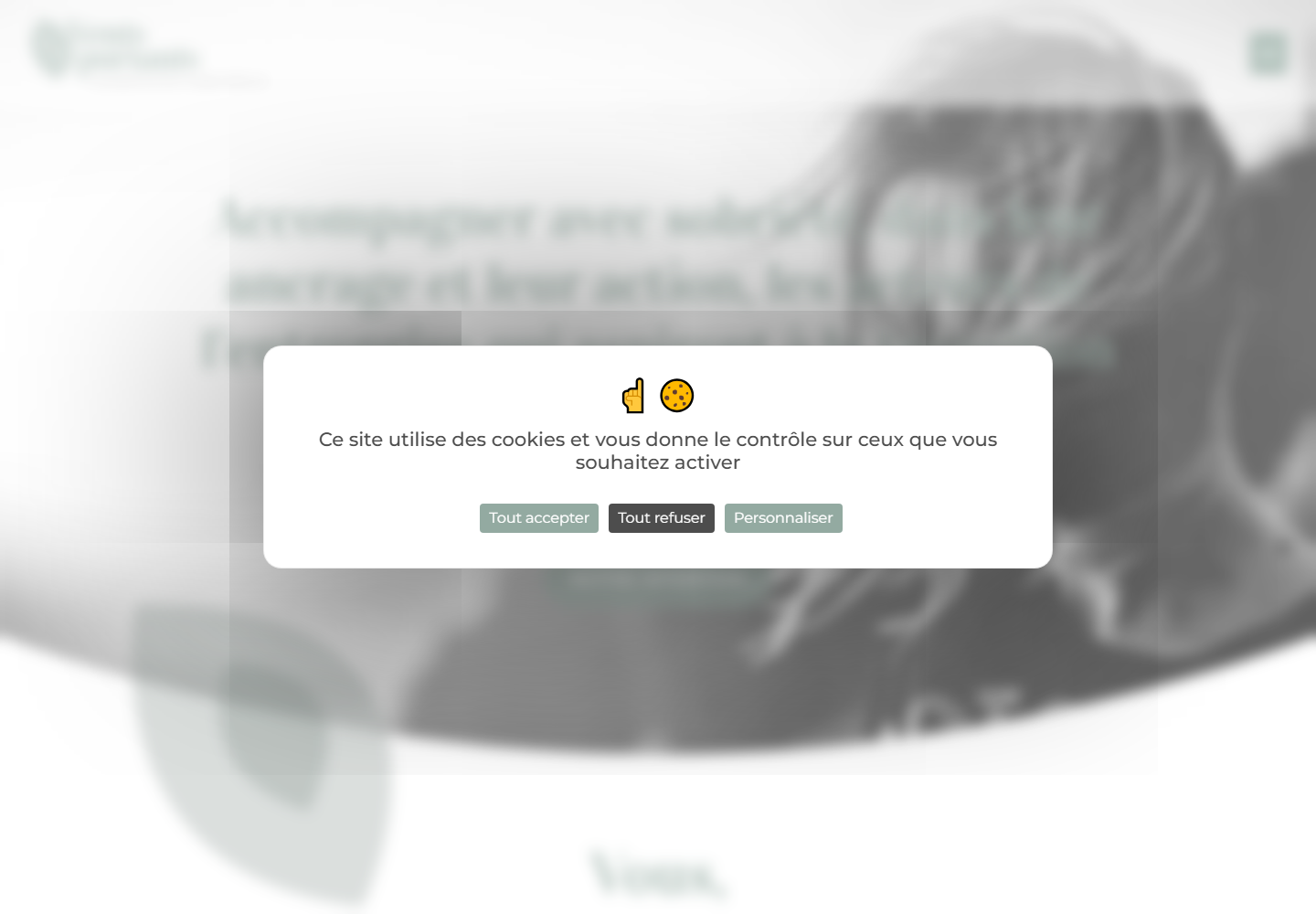 Ventsportants website preview